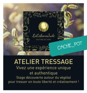 ATELIER suspension plante • Date à définir