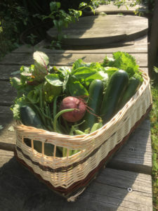 JARDINIERE POTAGERE (sur commande) – Image 2