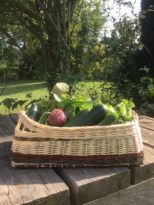 JARDINIERE POTAGERE (sur commande)